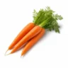 Arabia Essence carrot perfume note