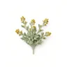 Arabia Essence Davana perfume note