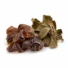 Arabia Essence labdanum perfume note