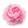Arabia Essence peony perfume note