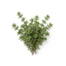 Arabia Essence Thyme perfume note