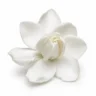 Arabia Essence tiare perfume note