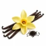 Arabia Essence vanilla perfume note